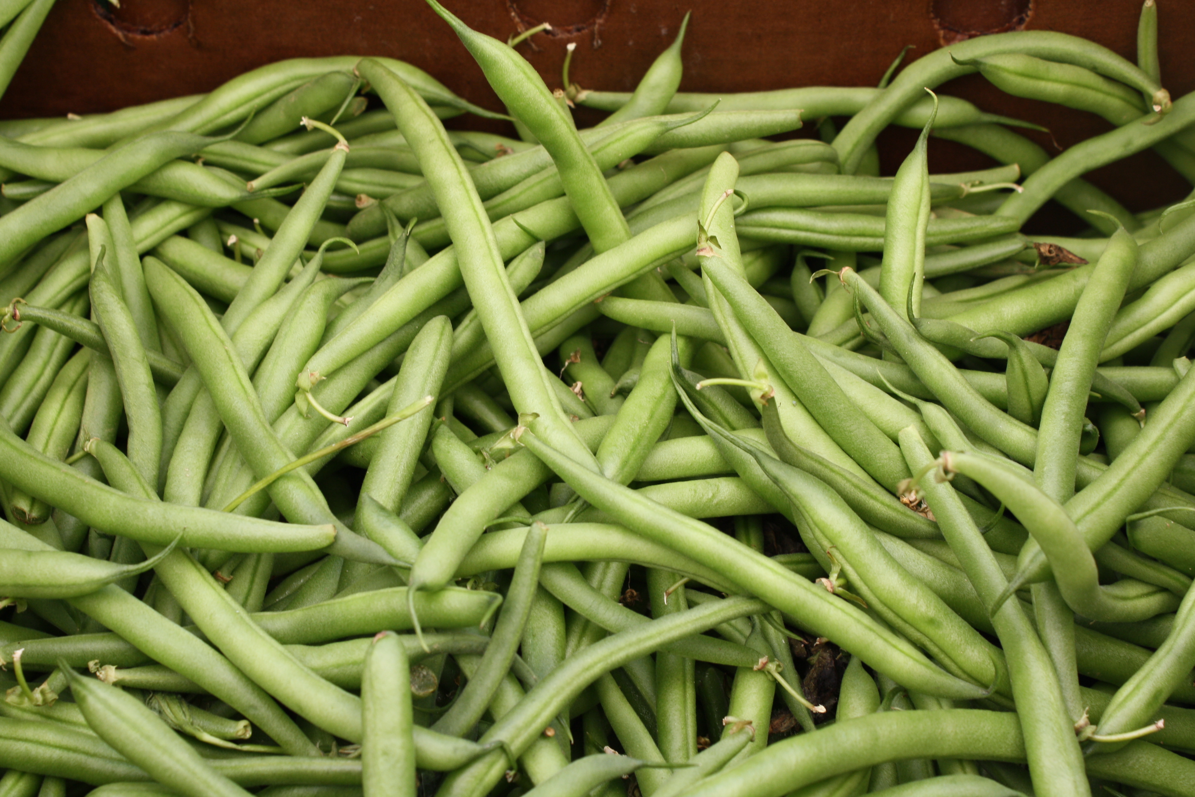 Why Are They Called String Beans