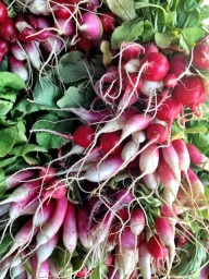 Local Farm Grown Radishes