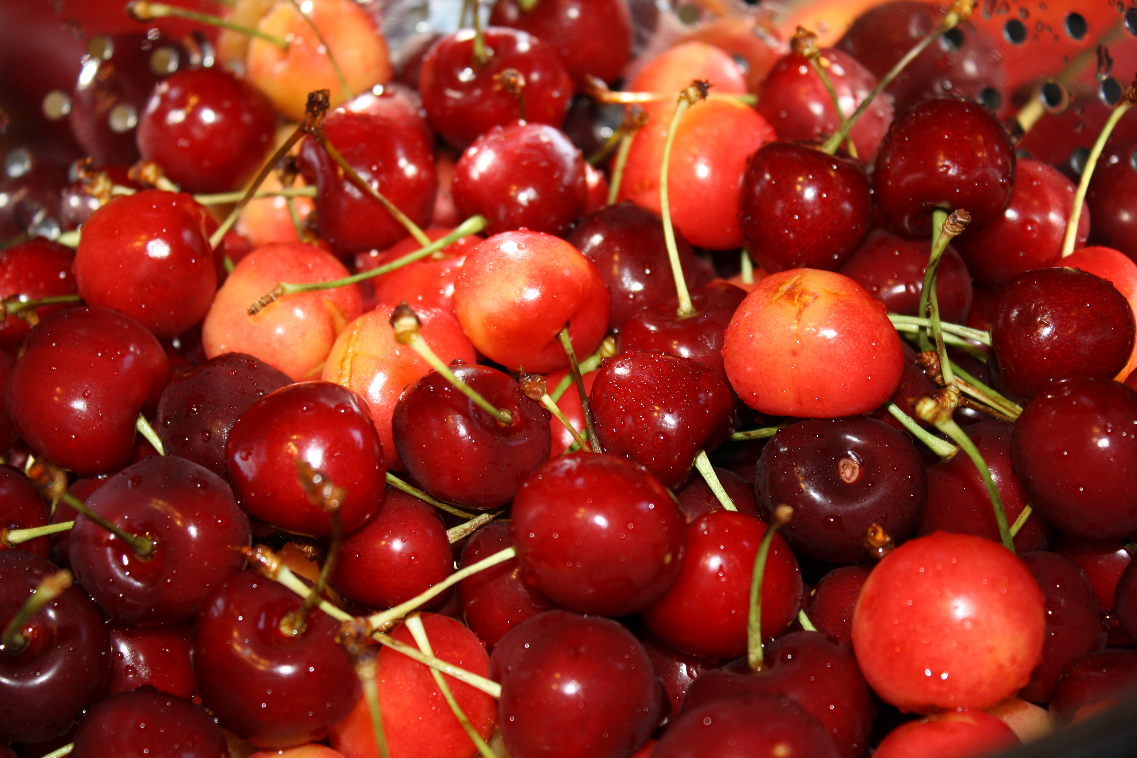 fruit-of-the-day-cherries