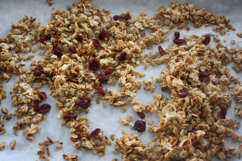 Nut Free Granola 1