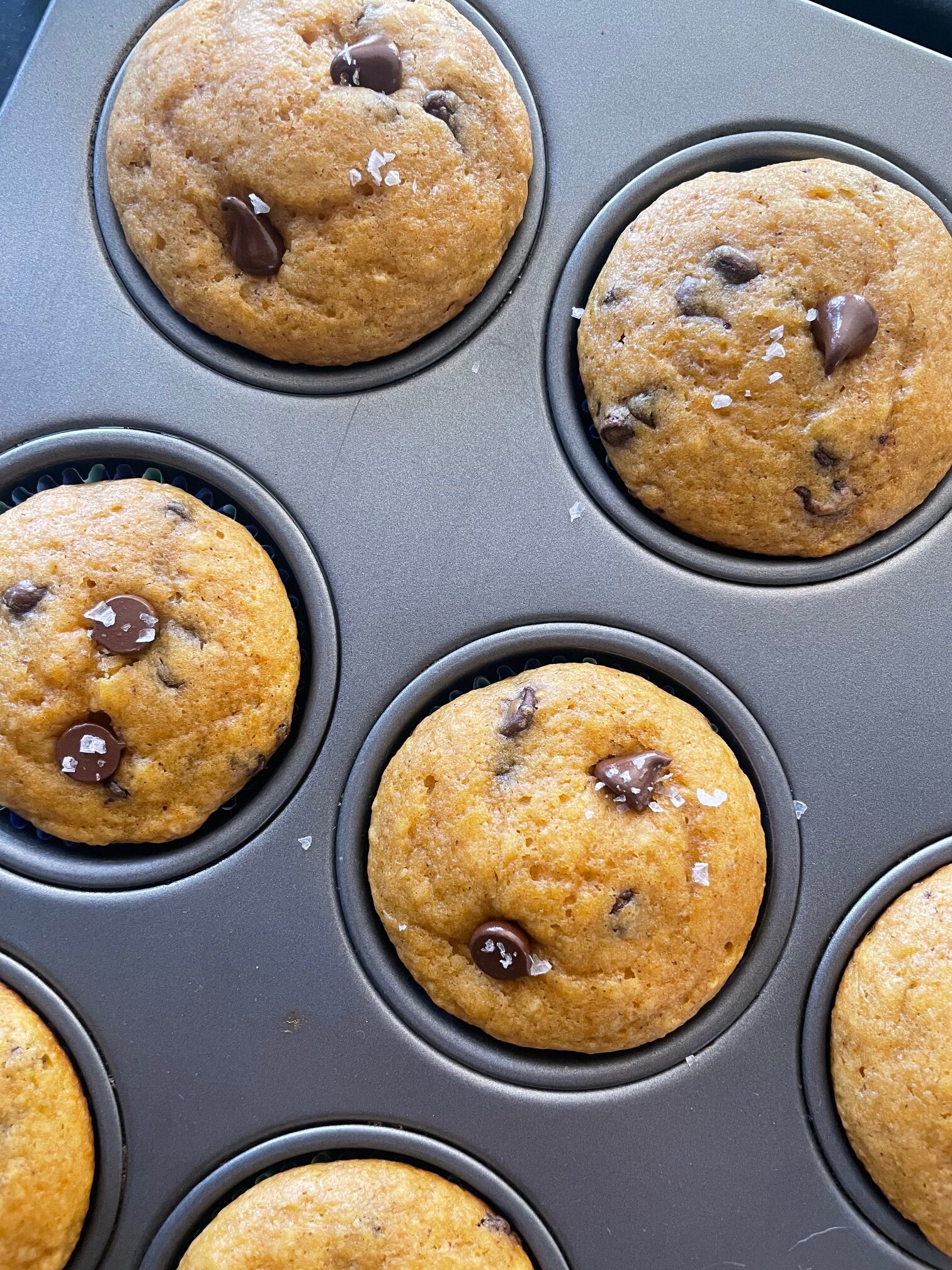 Pumpkin Chocolate Chip Muffins | Dana White Nutrition