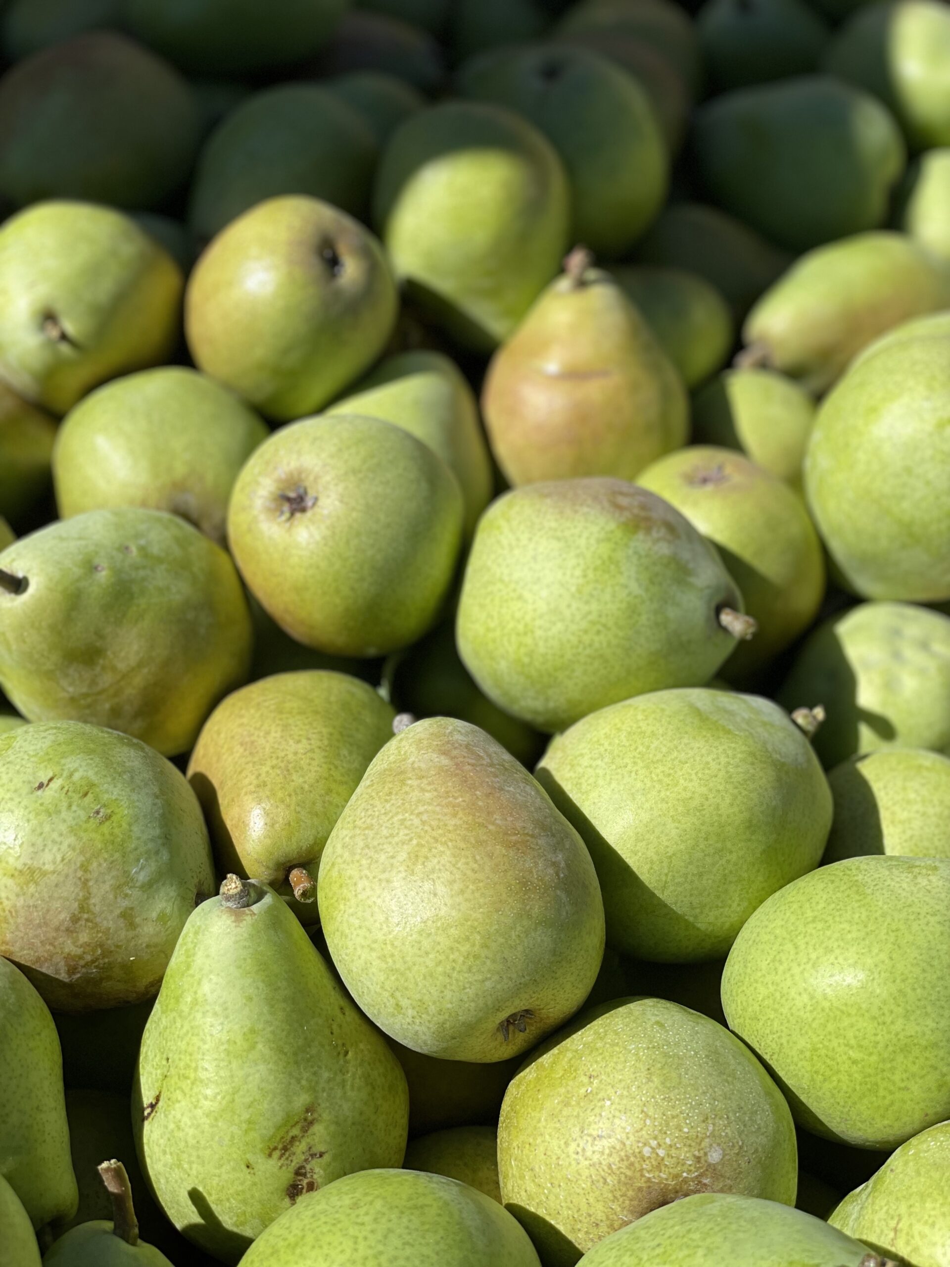 Dana White Nutrition Sports Culinary Nutrition